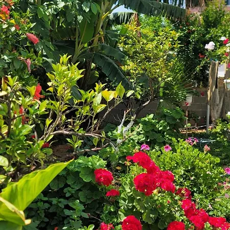 Ori 게스트하우스 3*