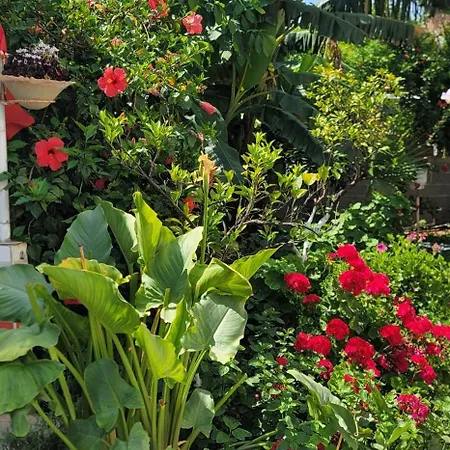 Ori 게스트하우스 사밀