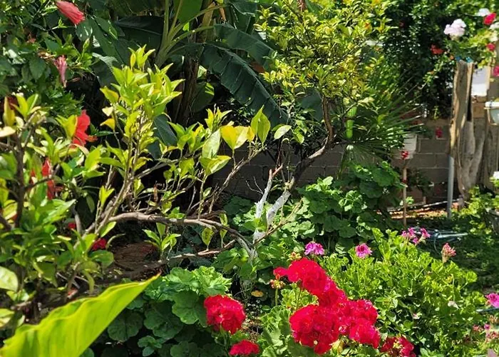 Ori בית הארחה 3*