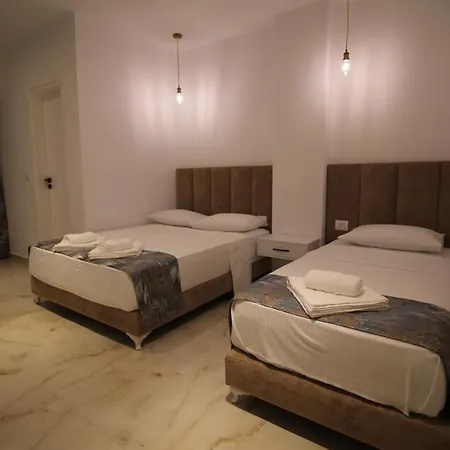 Πανσιόν Ori
